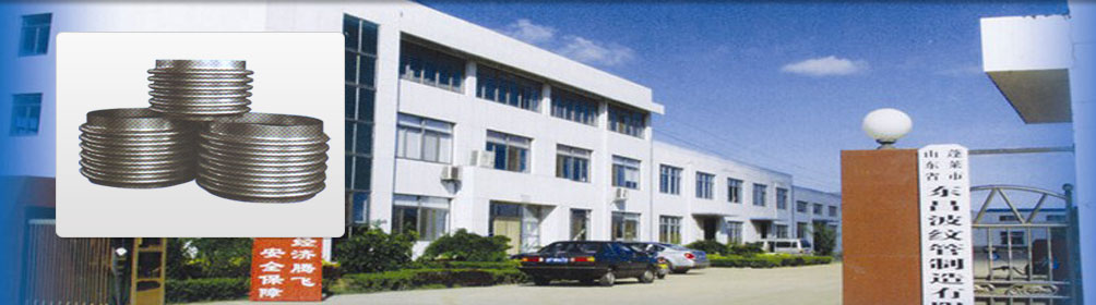 公司介紹